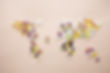 pharmaceutical-sourcing-supplier-london.jpg
